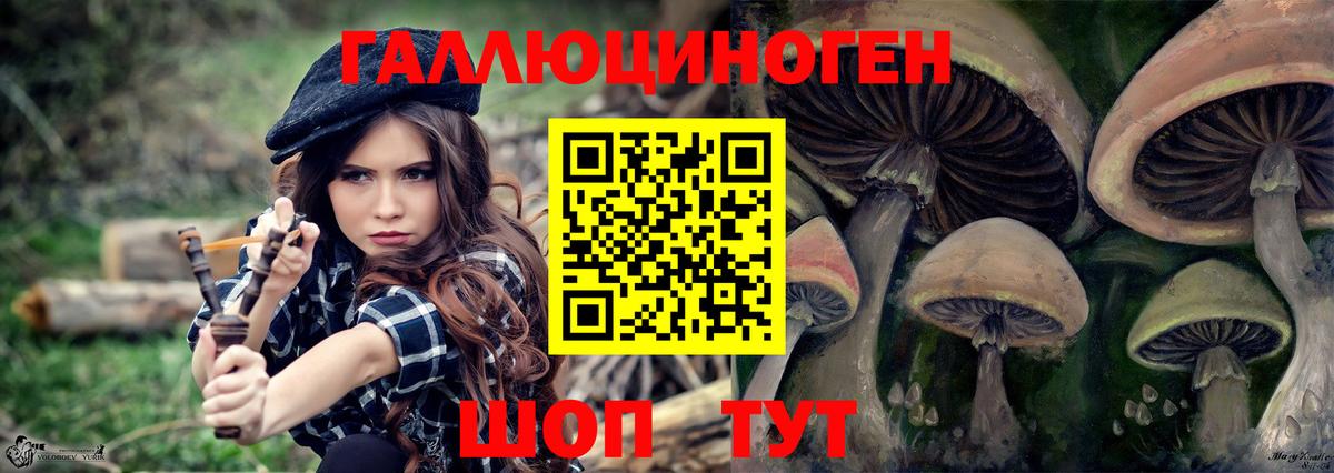 Торжок  Псилоцибиновые грибы мицелий  Вход с VPN 