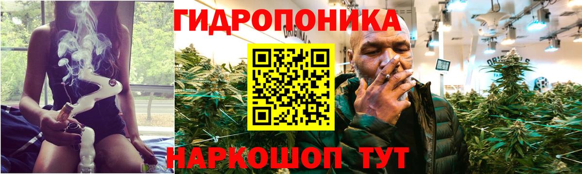 Бошки Шишки VHQ Торжок